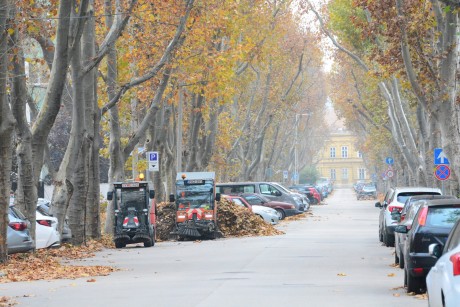 Parkolási tilalom lesz hétfőn 6 és 14 óra között a Gyümölcs utcában